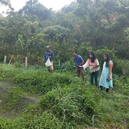 Friends Valley Home Stay Kattappana Esterno foto
